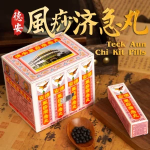 德安风痧济急丸 Teck Aun Chi Kit Pills